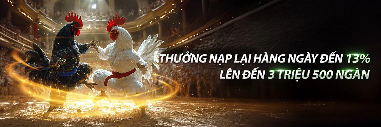 Đá gà trực tuyến sôi động tại ufabet nhà cái